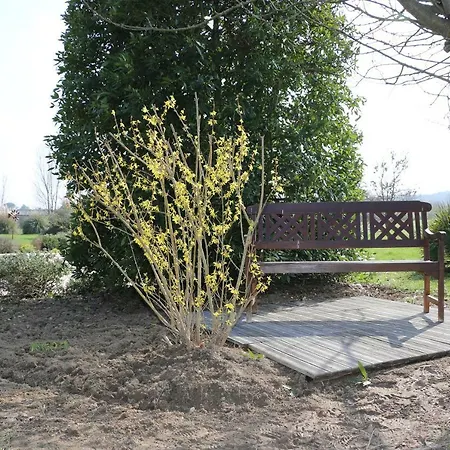 Saint Alary 4* ラヴォール