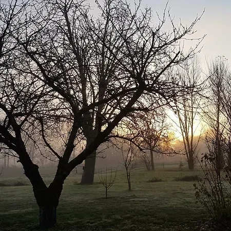 Saint Alary 4* ラヴォール